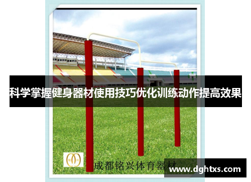 科学掌握健身器材使用技巧优化训练动作提高效果