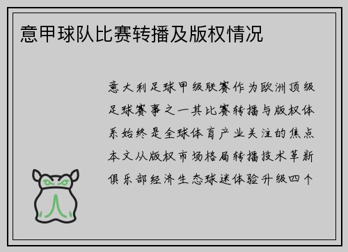 意甲球队比赛转播及版权情况
