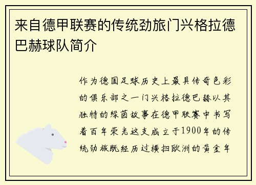 来自德甲联赛的传统劲旅门兴格拉德巴赫球队简介